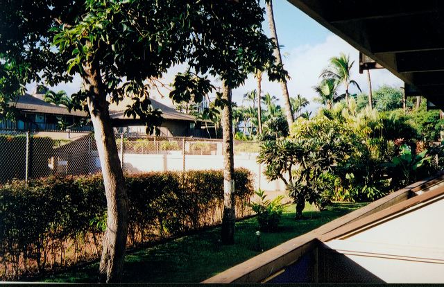 maui003.jpg